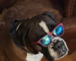 leoIsCool