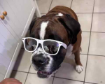 leoSoCool